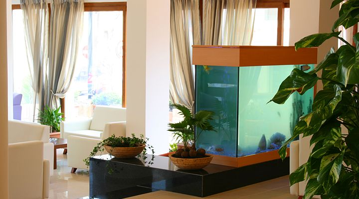 Kıbrıs Dorana Hotel - Fotoğraf 9